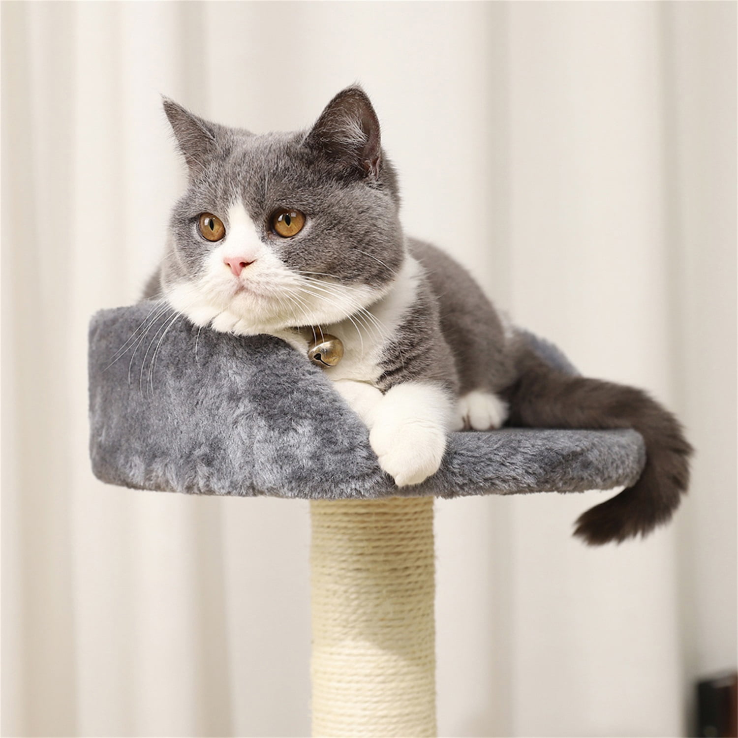 Pefilos Cat Scratch Post for Large Cats Tree Cat Scratching Posts for Indoor Cats Cat Scratching for Furniture Tall Cat Scratcher Posts Toy, Gray Pefilos Cat Scratch Post for Large Cats Tree Cat Scratching Posts for Indoor Cats Cat Scratching for Furniture Tall Cat Scratcher Posts Toy, Gray