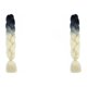 thumbnail image 2 of Seitruly Trenzas De Cabello De Moda Estilo Deseado Con Color Natural Extensiones De Cabello Trenzado De Moda B34 B34 2Conjunto, 2 of 6