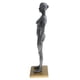 thumbnail image 5 of de anatomía femenina de 11 pulgadas - Escultura de pintura de modelo anatómico de y músculo , referencia anatómica para, 5 of 8
