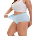 thumbnail image 3 of INNERSY Women's Plus Size Cotton Underwear XL-6XL High Waisted Briefs Panties 5-Pack(3XL,Bloom), 3 of 10