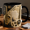 Black, variant on Saxophone Mug 3D Effect Jazz Music Gift for Saxophonist, Band Teacher, Music Lover