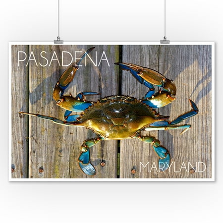 Pasadena, Maryland - Blue Crab on Dock - Lantern Press Photography (9x12 Art Print, Wall Decor Travel