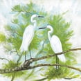 thumbnail image 2 of Fisk, Arnie 15x15 White Modern Wood Framed Museum Art Print Titled - Herons, 2 of 4