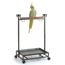 Large Deluxe Parrot Bird Play Cockatiels Stand Natural Wood Perch Stainless Steel Bowls Play Gym Play Ground Rolling Stand