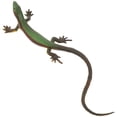 thumbnail image 1 of Lizard Figurine Model Fake Lizard Plastic Lizard Toy Simulation Reptile Toy, 1 of 8