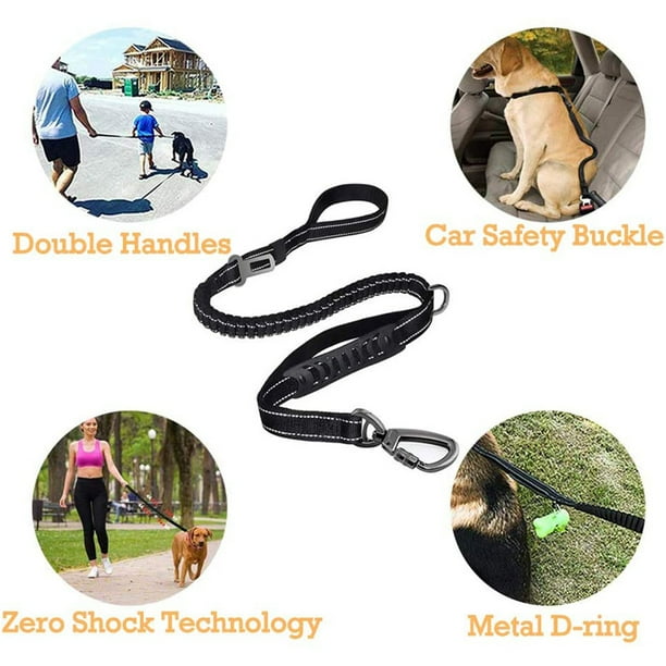 Dog leash with buckle handle sales