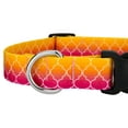 thumbnail image 5 of Country Brook Petz® Deluxe Fabulous Ombre Dog Collar and Leash, 2XS, 5 of 7
