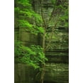 thumbnail image 2 of Majchrowicz, Alan 23x32 White Modern Wood Framed Museum Art Print Titled - Kaskaskia Canyon-Starved Rock State Park-LaSalle County-Illinois, 2 of 4