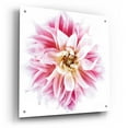 thumbnail image 2 of Epic Art 'Pink Dahlia' by Elise Catterall, Acrylic Glass Wall Art, 24"x24", 2 of 8