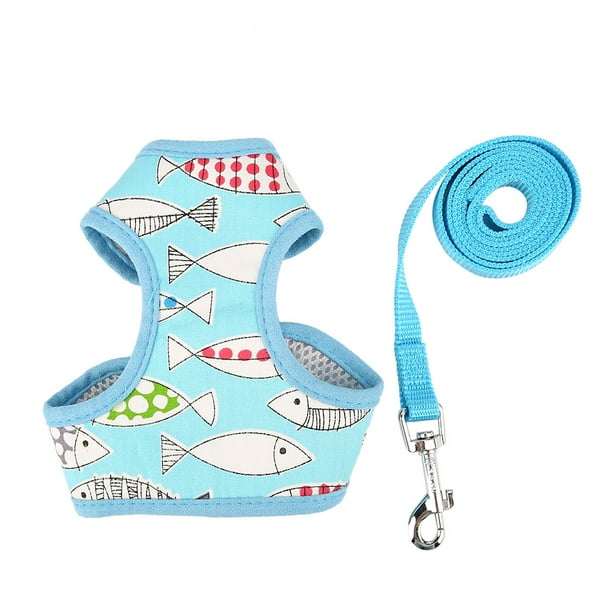 Cute harness hotsell