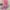 Pink, variant on Baqcunre Clearance! Scarf for Women, Fashion Lady Women Floral Prints Shawl Chiffon Scarf,
