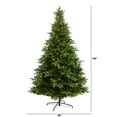 thumbnail image 2 of Nearly Natural 9ft. North Carolina Spruce Artificial Christmas Tree with 750 Clear Lights and 1912 Bendable Branches, 2 of 10