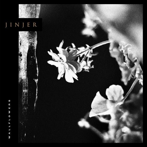 Jinjer Wallflowers CD
