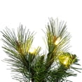 thumbnail image 2 of 30" Brighton Pine Wreath Dura-Lit 100WW, 2 of 2