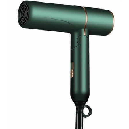 Dinnice Electric hair dryers, Professional Salon Negative Ions Blow Dryer, Powerful 1600W for Fast Drying, 3 Heating/ 3 Speed, Cool Button