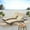 Grey / Textured Beige, variant on Anthony Outdoor Wicker Adjustable Chaise Lounge with Cushion, Set of 2, Multibrown and Bright Green