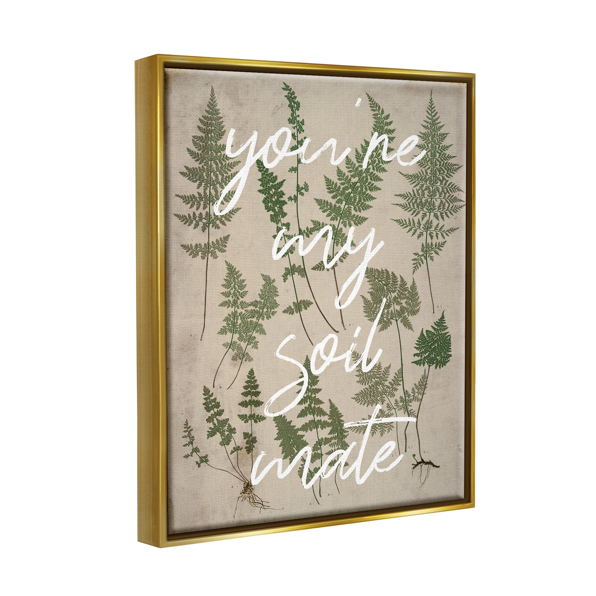 Stupell Industries You're My Soil Mate Rustic Fern Motif Calligraphy Metallic Gold Framed Floating Canvas Wall Art, 16x20, by Lil' Rue