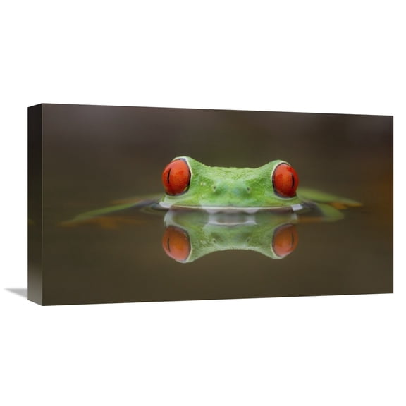Global Gallery Kutub Uddin,'Burning Eyes' Stretched Canvas Artwork