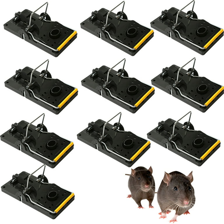 Elbourn Mouse Trap, Catch Mouse Traps That Work for Indoor/Outdoor, Mouse  Killer Small Mole Capture (10 Pack)