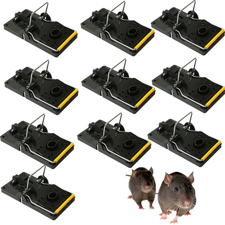 Spring 2024 mouse trap