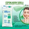 thumbnail image 1 of T-Taio Esponjabon Humectante con Sabila Aloe Vera For All Skin Types, 1 of 2