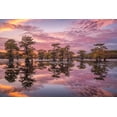 thumbnail image 2 of Podt, Martin 32x23 Gold Ornate Wood Framed with Double Matting Museum Art Print Titled - Magnificent Sunset in the Swamps, 2 of 4