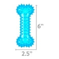 Vibrant Life Fetch Buddy Spiky Blue Bone Dog Toy, Chew Level 3