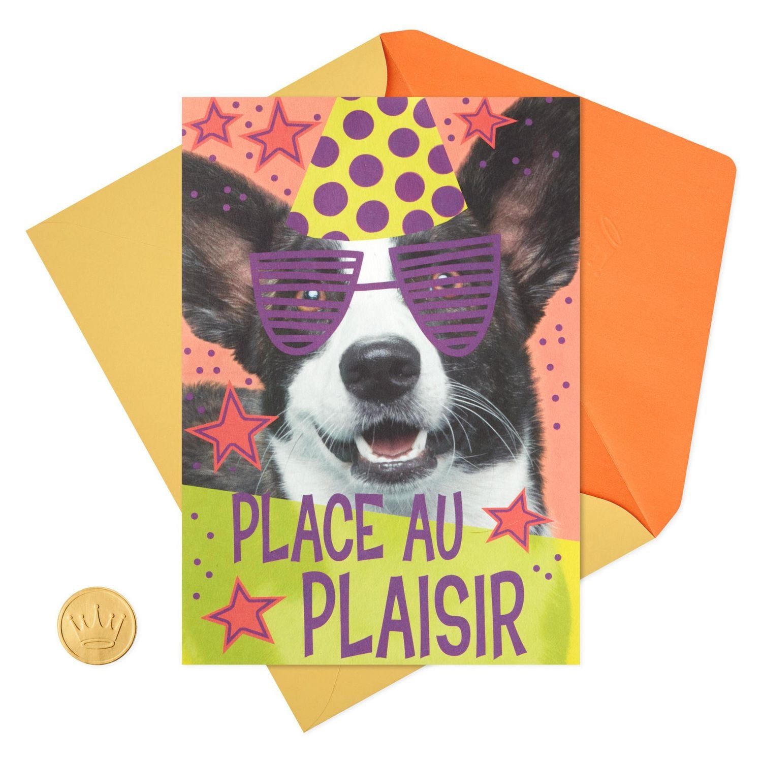 Hallmark Pop Up Birthday Card (Birthday Dog)