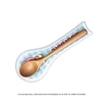 thumbnail image 4 of Reposa Cucharas Prichos Cutie Town Melamina 1 Pieza, 4 of 4