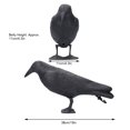 thumbnail image 5 of Crow Decoys Full Body Plastic Crow Decoy for Hunting, Black Flocked Crow Decoy w/Feet Stake for Halloween Decor Yard Garden Decoration, 5 of 9