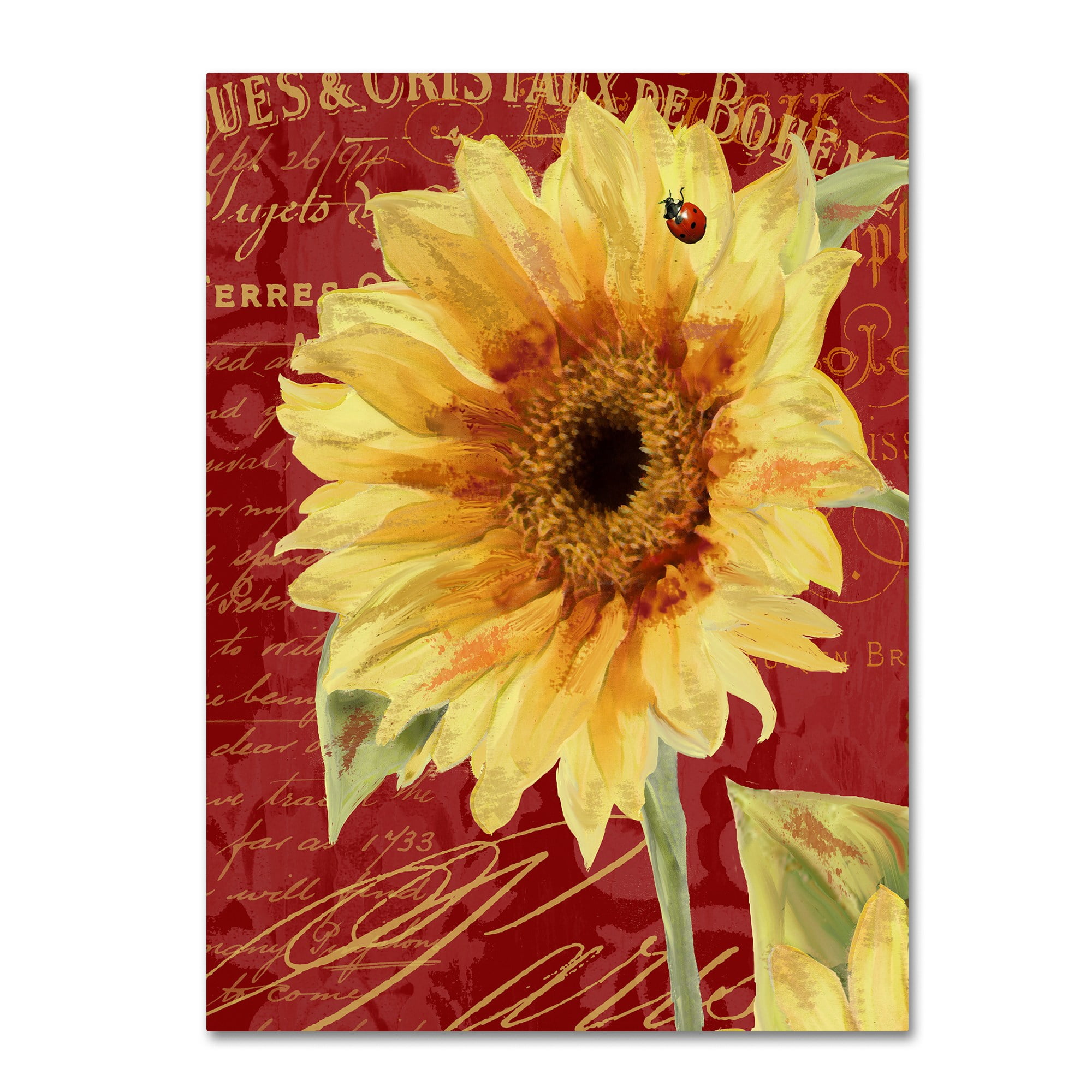 Trademark Fine Art "Ete Lady Bug" Canvas Art by Color Bakery