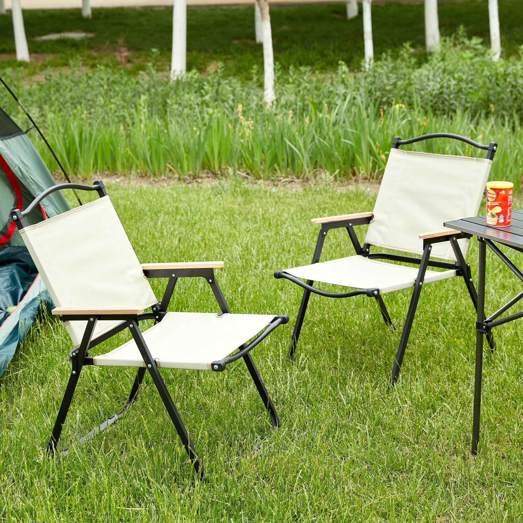 MAYEERTY 2-Piece Folding Outdoor Chair with Armrests and Anti-Slip Feet