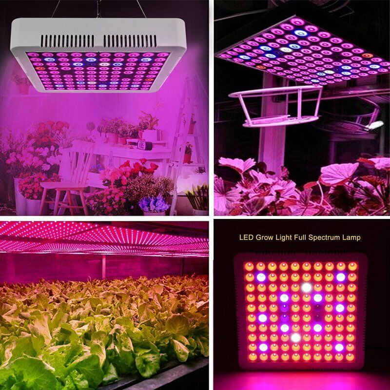 LED Grow Light 100 LED UV IR Growing Lamp for Indoor ...