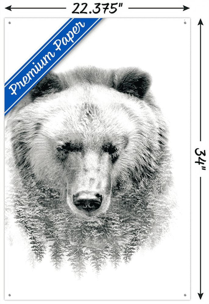 Bear - Trees Wall Poster with Push Pins, 22.375" x 34"
