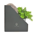 thumbnail image 2 of Set de Baño Hometrends Tapete + Dispensador + planta, 2 of 4