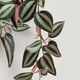 thumbnail image 5 of Plantas falsas de pared Inteprter Mini Flor artificial Hoja Hojas colgantes Decoración Rojo púrpura, 5 of 6