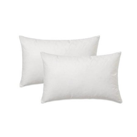12x20 Pillow Insert Inspiration Set Of 60 Pillow Inserts Rectangle Lumbar Premium For 160x 600 12x20 Pillow Insert Inspiration Set Of 60 Pillow Inserts Rectangle Lumbar Premium For 160x 600