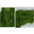 thumbnail image 3 of Artificial Moss for Indoor Outdoor Decor Available in 50g 100g 200g Sizes, 3 of 6