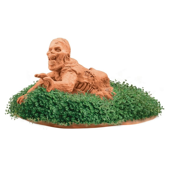 Zombie Dragging Drew Chia Pet Handmade Decorative Planter by JEI