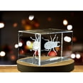 thumbnail image 4 of Unique 3D Engraved Crystal with Beetle Design - Perfect Gift for Insect Lovers, 4 of 7