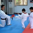 thumbnail image 4 of Taekwondo Double Kick Train Strike Pad Target Tae Kwon Do Karate Kickboxing, 4 of 7
