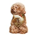 thumbnail image 4 of Disketp Heavy Metal Style Guinea Pig Dog Bandanas 1PC Triangle Adjustable Puppy Bandana Bib Handkerchief for Large Medium Girl Dogs Pets Gift, 4 of 6