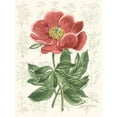 thumbnail image 3 of Vision Studio 15x18 Black Modern Framed Museum Art Print Titled - Peony Flower Garden II, 3 of 5