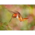 thumbnail image 2 of Robertson, Leda 18x15 White Modern Wood Framed Museum Art Print Titled - The Flower Dance III, 2 of 4