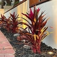 thumbnail image 2 of AQ Lighting 5" Metal & Composite Well Light with Open Face Cover in Bronze, 2 of 3