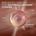 thumbnail image 3 of Tinte para el cabello L'Oreal Paris Excellence Universal Nudes 7NR Copper, 3 of 7