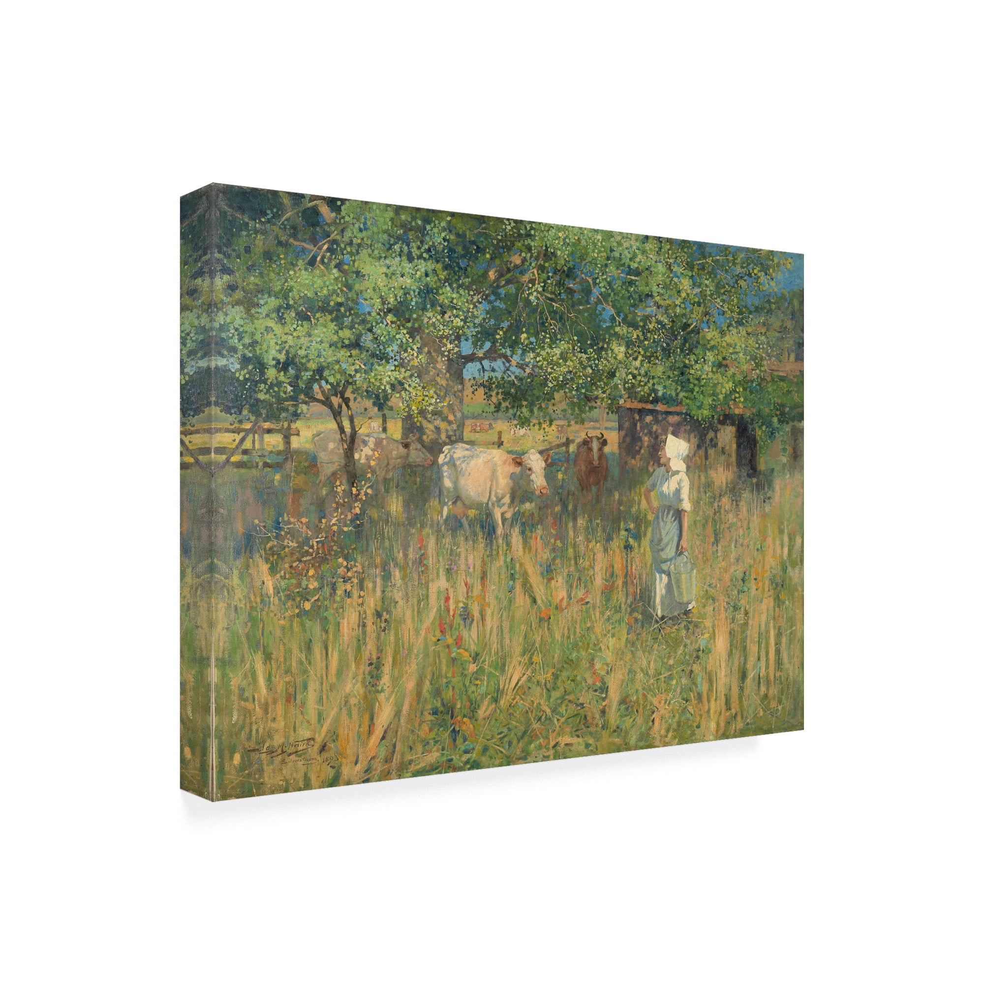 James M. Nairn 'Tess' Canvas Art