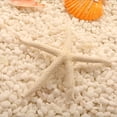thumbnail image 1 of Estrella de mar natural Billuyoard, decoración del hogar, Color blanco, tamaño 5-10 cm y 10-12 cm, 1 of 6