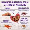 thumbnail image 2 of Complete Health Natural Grain Free Sliced Salmon Entree Wet Cat Food, 5.5 oz., Case of 24, 2 of 2