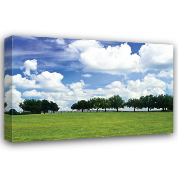 Alan Hausenflock 18x13 Gallery Wrapped Canvas Wall Art Titled - Tree Line III